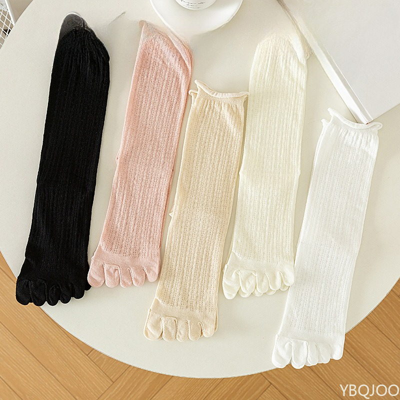Five finger socks women stacke - Pipe Bending Spring のレビューと価格